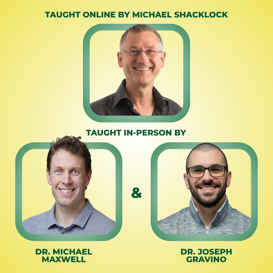 Clinical Neurodynamic Solutions - Lower Quarter