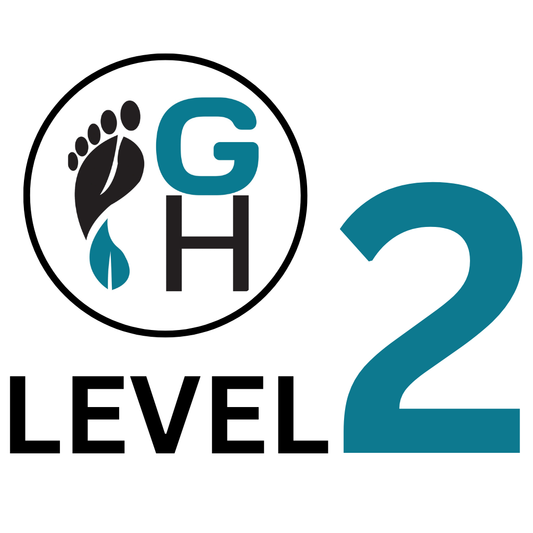 Functional Gait Assessment Level 2