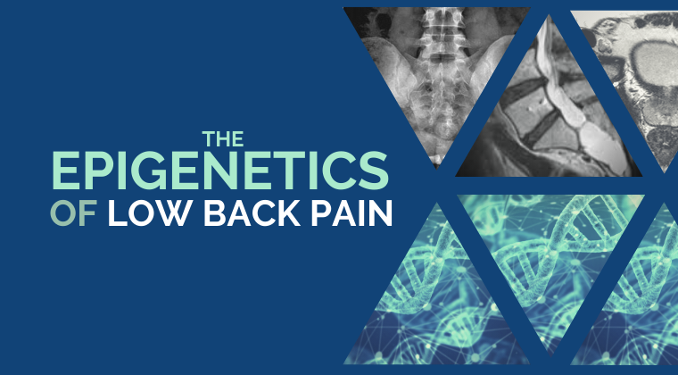 Epigenetics of Low Back Pain